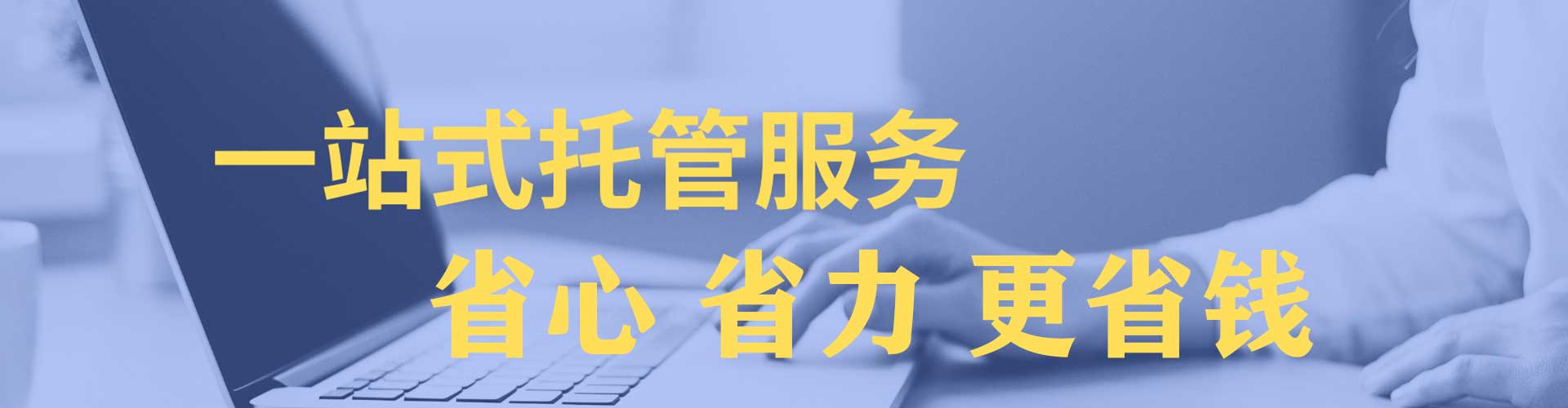 安图sem优化